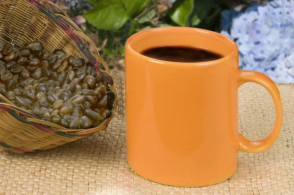 コーヒー豆の背景を持つ白いコーヒー カップ — ストック写真