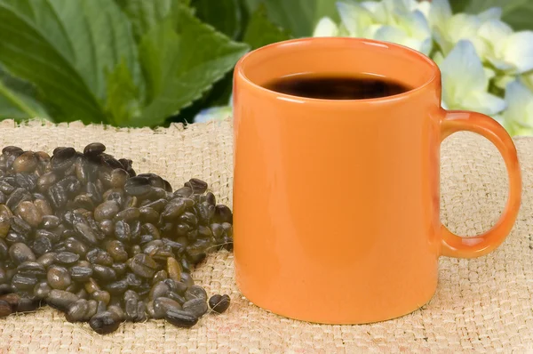 Copo de café branco com fundo de grãos de café — Fotografia de Stock