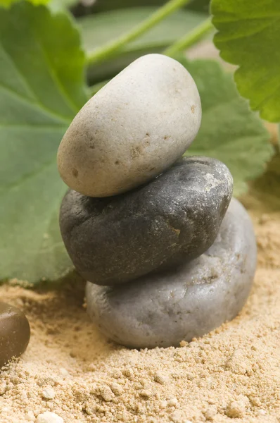 Zen stones and leaves — Stock Photo, Image