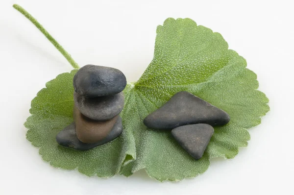 Zen pedras e folhas — Fotografia de Stock