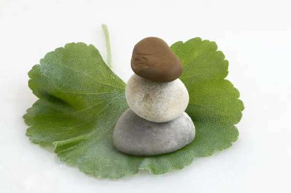 Zen stones and leaves — Stock Photo, Image