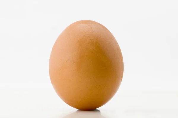 卵は白黄色 — ストック写真