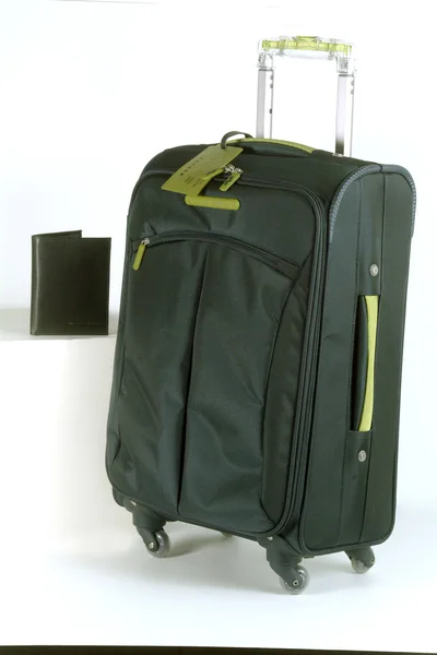 Skórzane torby podróżne — Zdjęcie stockowe