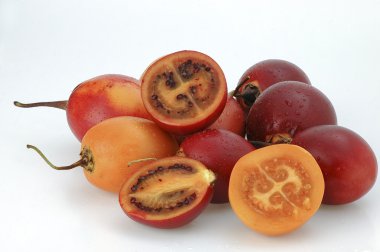 ağaç domates solanum betaceum, tamarillo