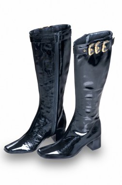 Woman leather boots clipart