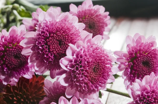 Fotografie krásných květin — Stock fotografie