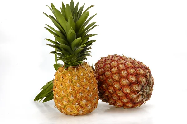 Beyaz arka planlı bir ananas — Stok fotoğraf