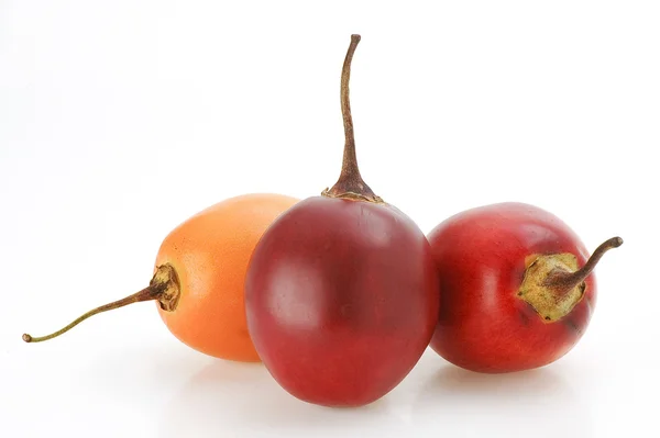 Árbol de tomate Solanum betaceum, Tamarillo —  Fotos de Stock