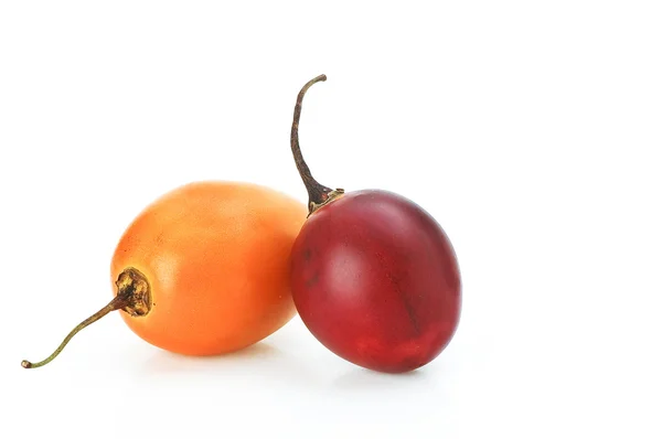 Träd tomaten solanum betaceum, tamarillo — Stockfoto