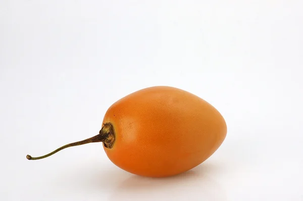 Solanum betaceum Tomate de :rbol, Tamarillo — стоковое фото
