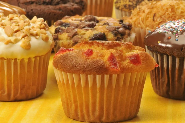 Muffiny muffiny odrůda — Stock fotografie