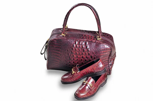 バッグ女性の財布と財布 — ストック写真
