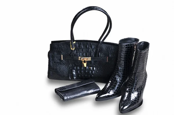 バッグ女性の財布と財布 — ストック写真