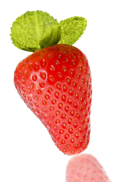 Solated strawberry solated strawberry — Stock Photo, Image