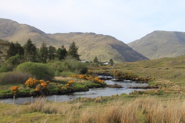 View of Bundorragha River clipart