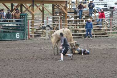 Nicola Vadisi rodeo