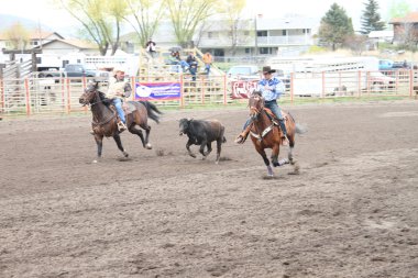 Nicola Vadisi rodeo