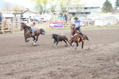 Nicola Vadisi rodeo