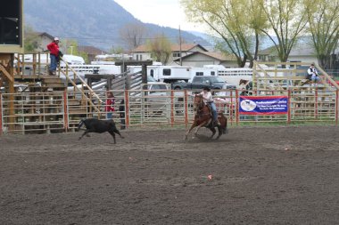 Nicola Vadisi rodeo