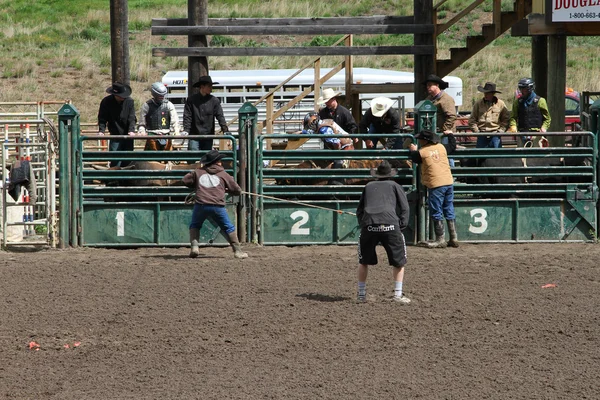 Nicola doliny rodeo — Zdjęcie stockowe