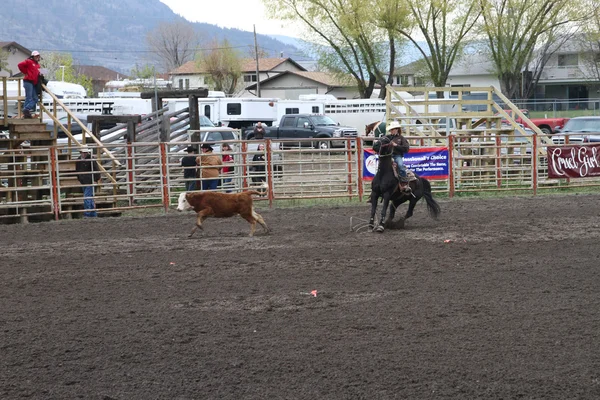 stock image Nicola Valley Rodeo