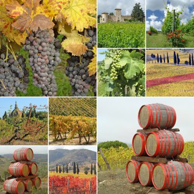 Wine agriculture collage clipart