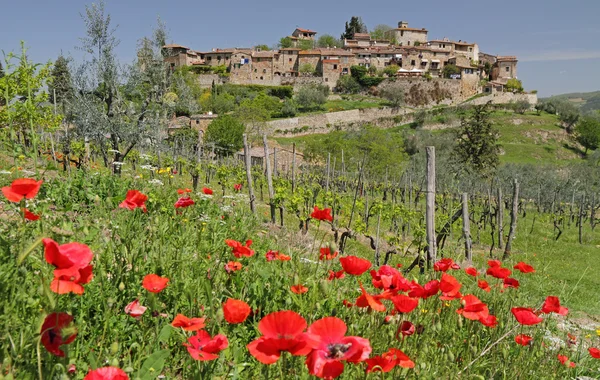Тосканському селі на пагорбі — стокове фото