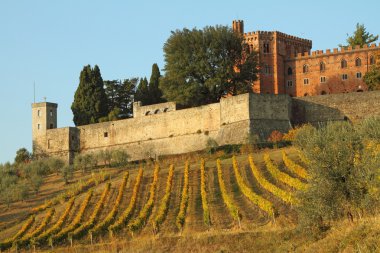 Castle of Brolio and vineyards in Chianti clipart