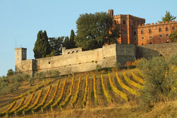 城 brolio とキャンティのブドウ畑 — ストック写真