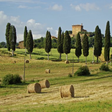 Idyllic Tuscany clipart