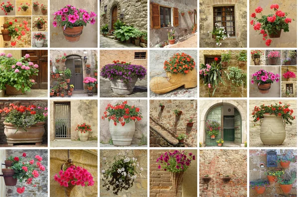 Tuinieren collage — Stockfoto
