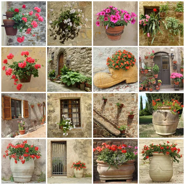 Collage de jardinería — Foto de Stock