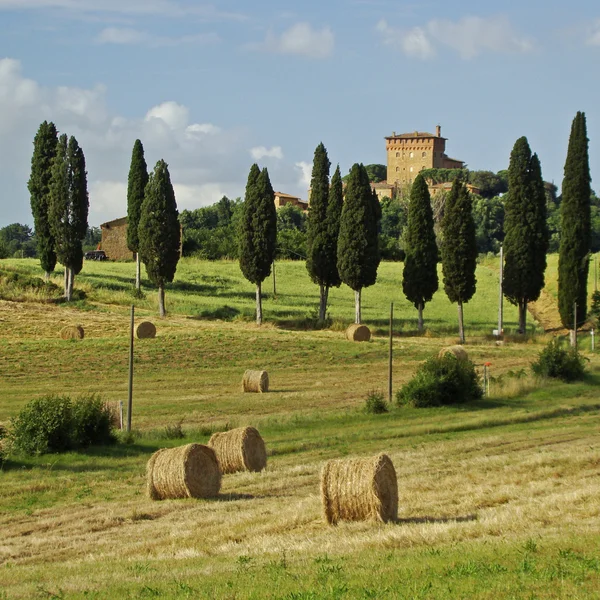 Toscana idilliaca — Foto Stock