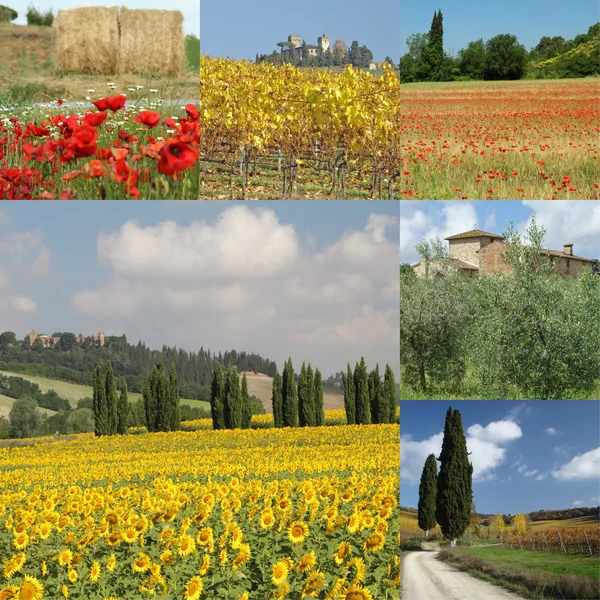 Collage Toscana — Foto Stock
