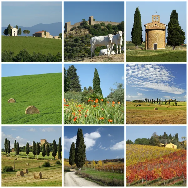 Tuscan τοπίο κολάζ — Φωτογραφία Αρχείου