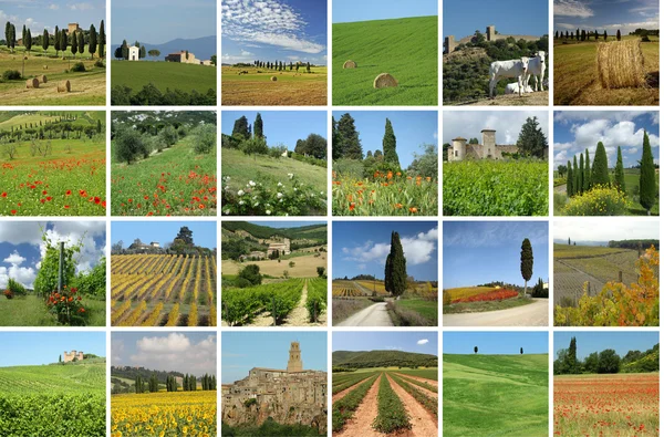 Colagem com maravilhosa paisagem toscana — Fotografia de Stock