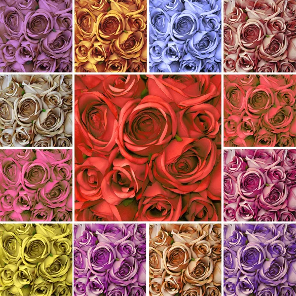 Zusammensetzung der Rosen — Stockfoto