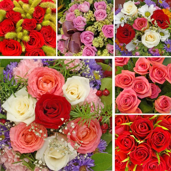 Collage con rosas — Foto de Stock