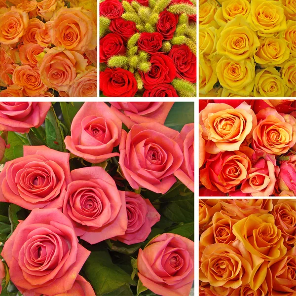 Composición de rosas — Foto de Stock