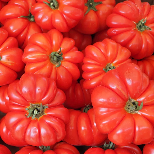 Bio tomates — Foto de Stock