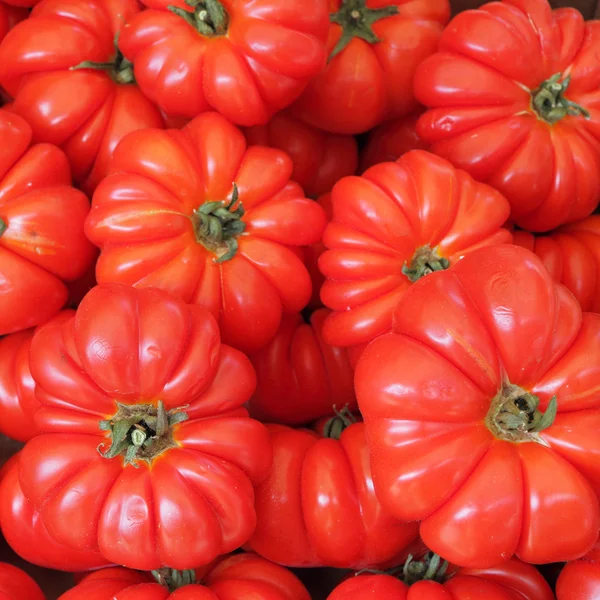 Bio tomatoes — Stock Photo, Image