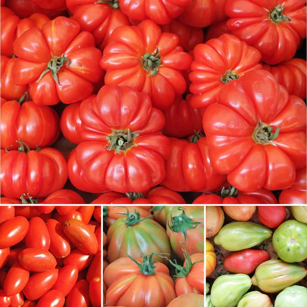 Collage de tomate — Foto de Stock