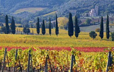 Tuscan landscape in autumn clipart