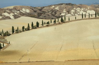 Landscape of Crete Senesi clipart