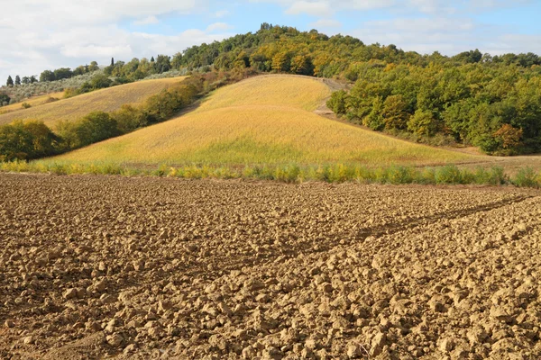 Landschap met geploegd veld en hill, Toscane — Stockfoto