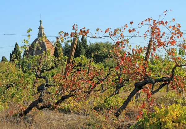 Oude kromme wijnbouw en in achtergrond kapel — Stockfoto