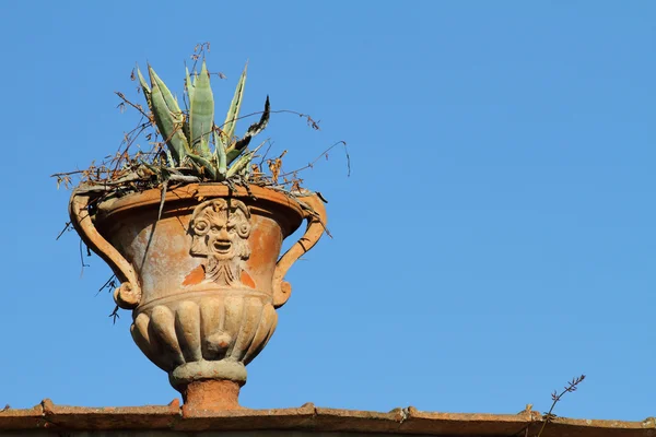 Antico vaso di fiori isolato sul cielo — Foto Stock