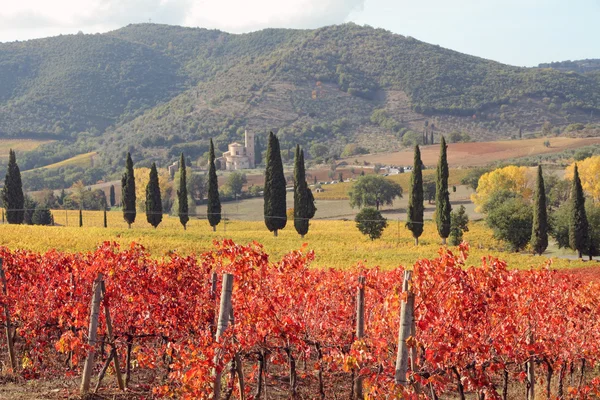 Landschaft der toskanischen Weinberge im Herbst, — Stockfoto