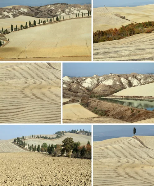 Collage with arid landscape in Tuscany — Stock Photo, Image
