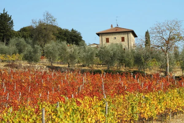 Casa da Toscana e vinhas cênicas — Fotografia de Stock